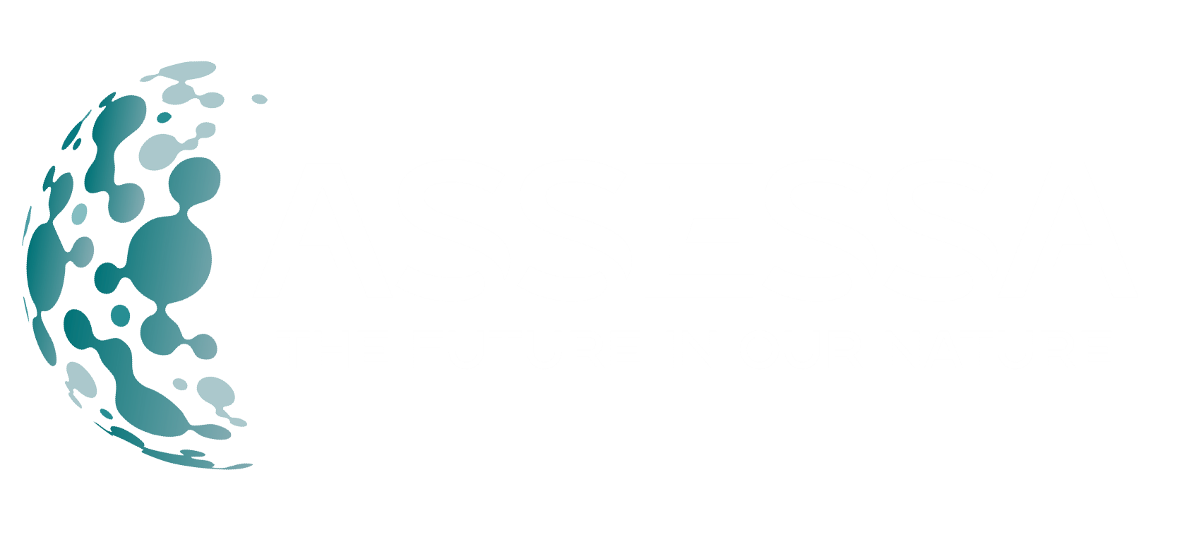 Assessa Academy