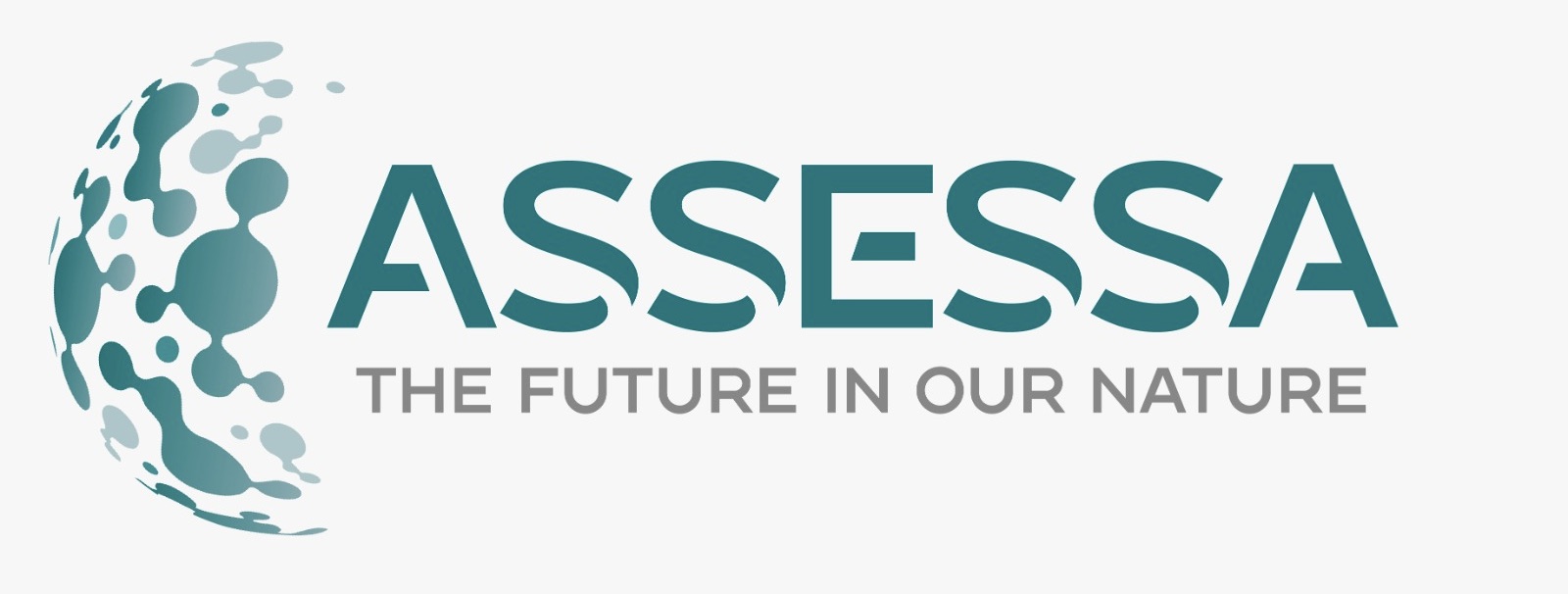 Assessa Logo