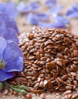 Upcycled Flaxseed and Chia Seeds