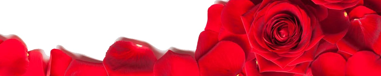 Traceable Mountain Roses Banner